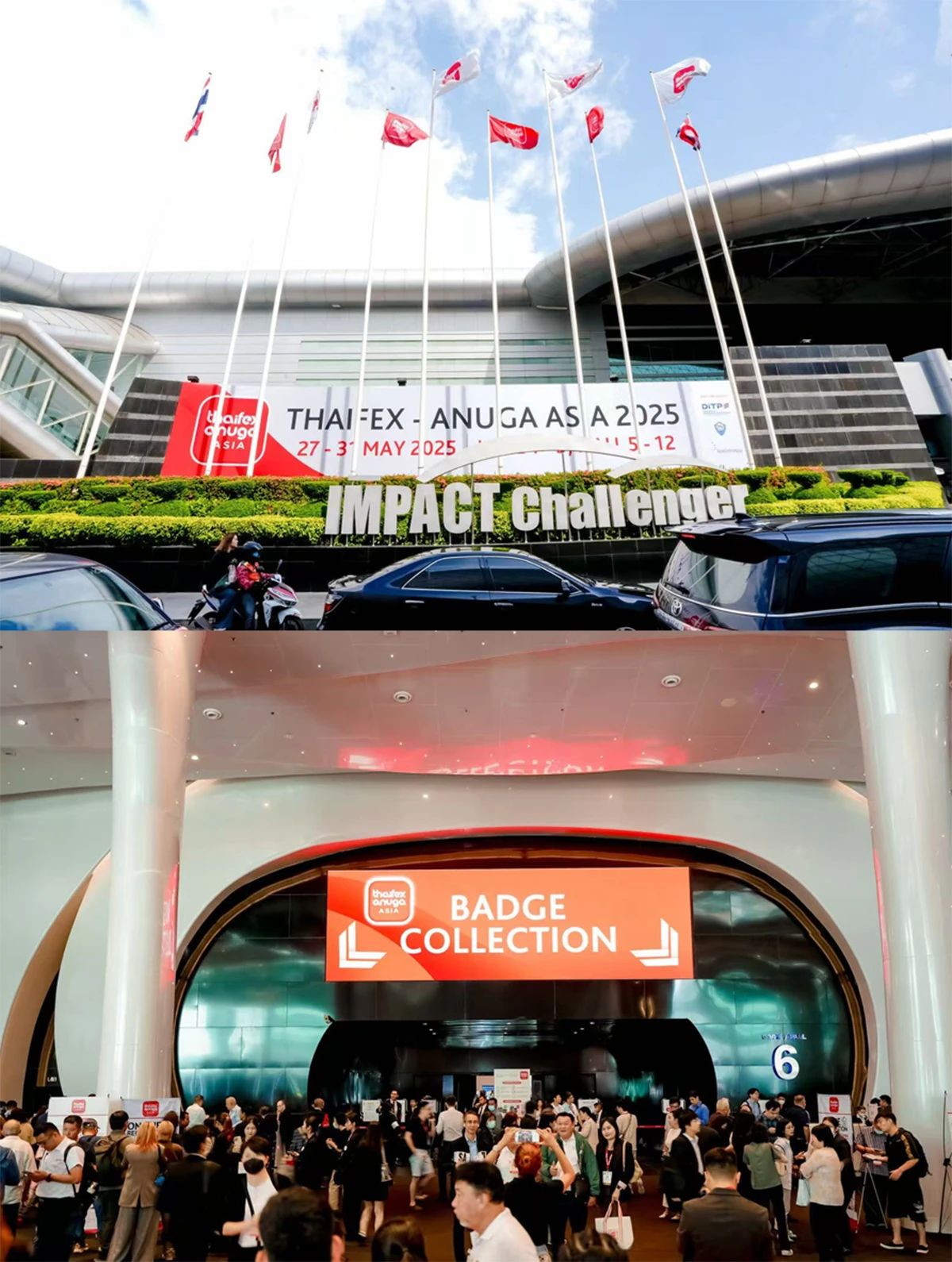 分子態臻元參加泰國亞洲世界食品博覽會2025(THAIFEX-ANUGA ASIA 2025